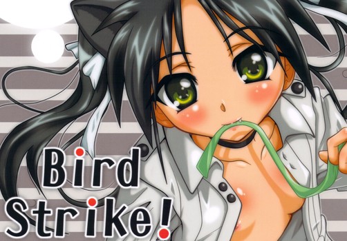 ストライクウィッチーズ フランチェスカ・ルッキーニ 同人誌 「Bird Strike!」 無料ダウンロード