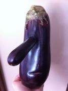 eggplant-e1338790333645.jpg