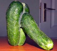 penis-cucumber.jpg